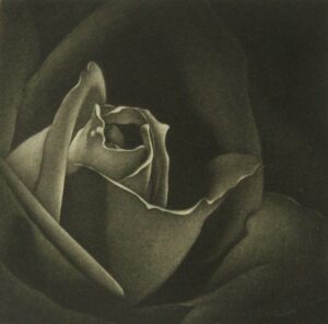 flower-10